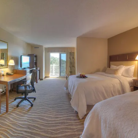 Hampton Inn & Suites Jekyll Island-2